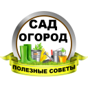 İndir  Сад и огород Полезные советы