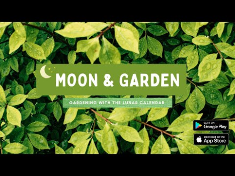 İndir Moon & Garden Yaşam Tarzı Android için Ekran görüntüsü 8