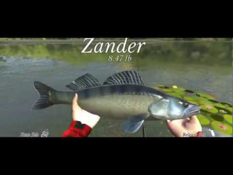 İndir Ultimate Fishing Simulator Simülatörler Android için