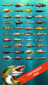 İndir Let's Fish: Balık Oyunları Simülatörler Android için Ekran görüntüsü 3