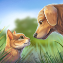 İndir  Pet World: My Animal Shelter