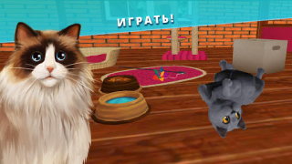 İndir Pet Hotel – My animal pension Simülatörler Android için Ekran görüntüsü 2