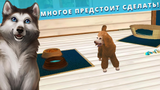 İndir Pet Hotel – My animal pension Simülatörler Android için Ekran görüntüsü 4