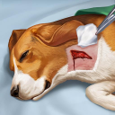 İndir  Operate Now: Animal Hospital