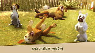 İndir Dog Hotel – Play with dogs Simülatörler Android için Ekran görüntüsü 3