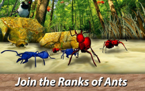 İndir Karıncalar Survival Simulator Simülatörler Android için