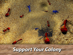 İndir Karıncalar Survival Simulator Simülatörler Android için Ekran görüntüsü 6