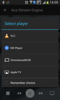 İndir Ace Stream Media Video oynatıcılar ve düzenleyiciler Android için Ekran görüntüsü 7