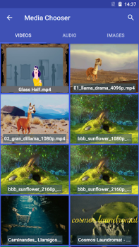 Video Converter