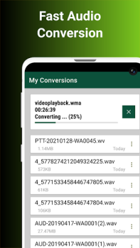 Audio Converter To Any Format