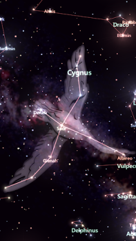 İndir Star Tracker - Mobile Sky Map Eğitim Android için Ekran görüntüsü 2