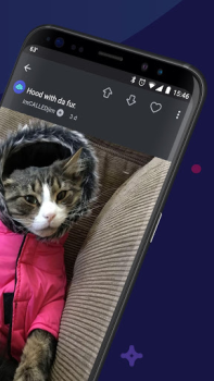 İndir Imgur: Funny Memes & GIF Maker Fotoğraf Android için Ekran görüntüsü 2