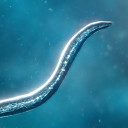 İndir  Bionix: Spore Evolution Sim 3D