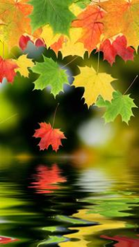 İndir HD Wallpapers Özelleştirme Android için Ekran görüntüsü 2