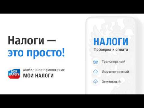 İndir Мои налоги: личный кабинет Finans Android için Ekran görüntüsü 8