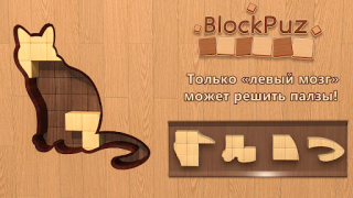 İndir BlockPuz: Block Puzzle Games Bulmaca Oyunları Android için Ekran görüntüsü 6