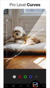İndir AI Photo Editor - Lumii Fotoğraf Android için Ekran görüntüsü 6